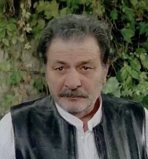 Furio Meniconi