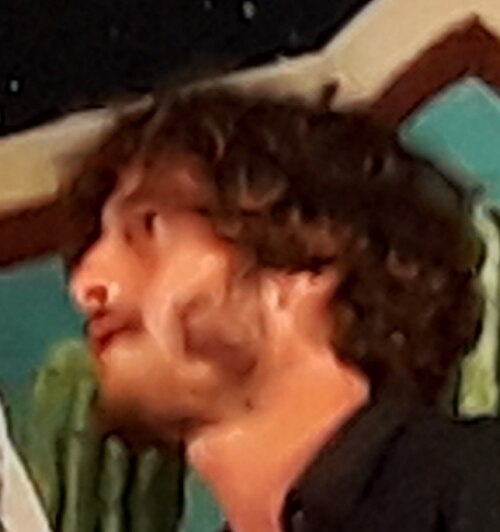 Luca Peracino
