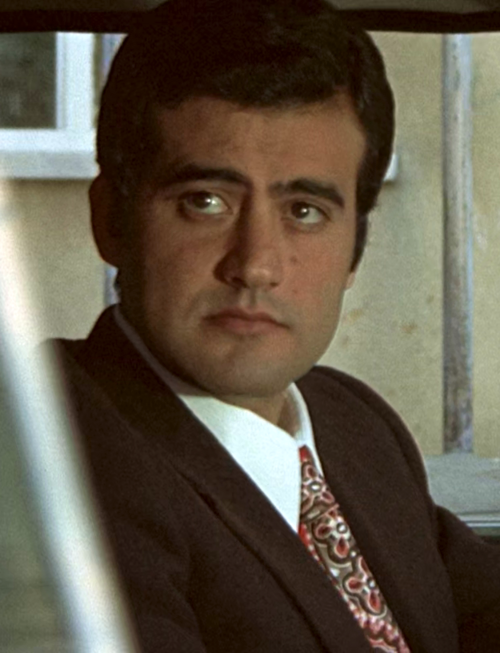 Michele Gammino