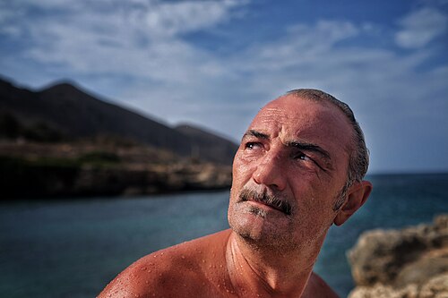 Raffaele Vannoli
