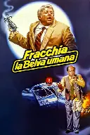 Locandina: Fracchia la belva umana