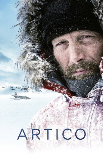 Locandina: Arctic