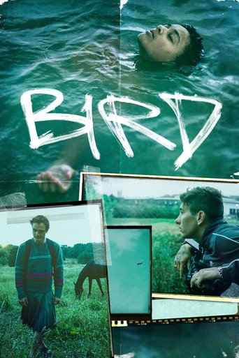 Locandina: Bird