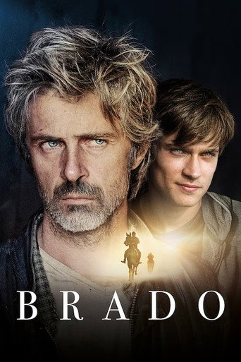 Locandina: Brado
