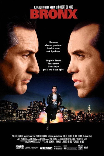 Locandina: Bronx