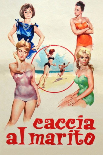 Locandina: Caccia al marito