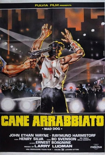 Locandina: Cane arrabbiato