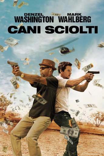 Locandina: Cani sciolti