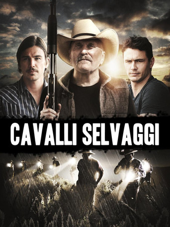 Locandina: Cavalli selvaggi