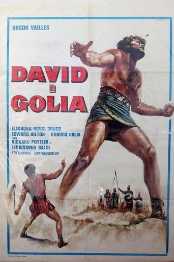 Locandina: David e Golia