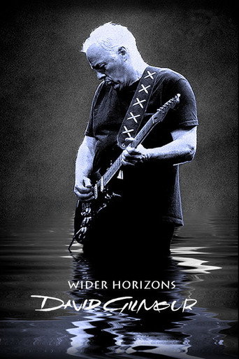 Locandina: David Gilmour: Wider Horizons