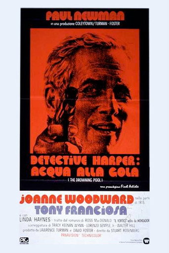 Locandina: Detective Harper: acqua alla gola