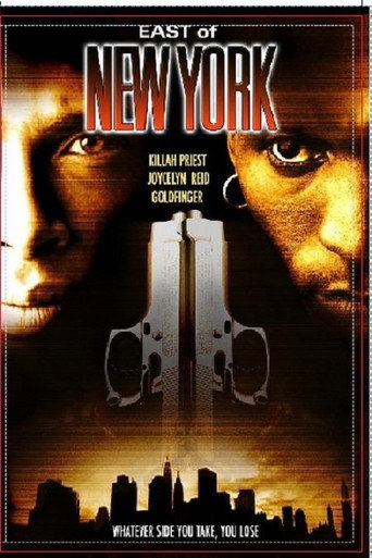 Locandina: East of New York
