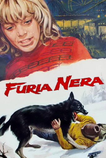 Locandina: Furia nera
