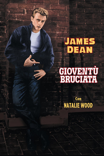 Locandina: Gioventù bruciata