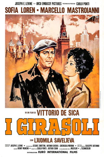 Locandina: I girasoli