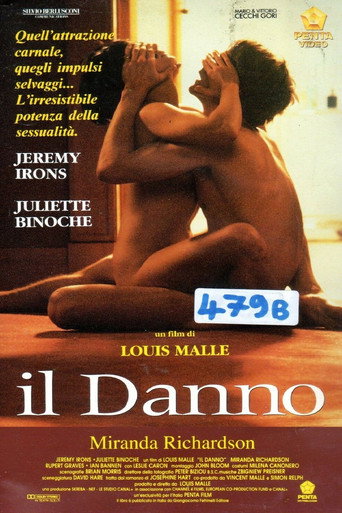 Locandina: Il danno