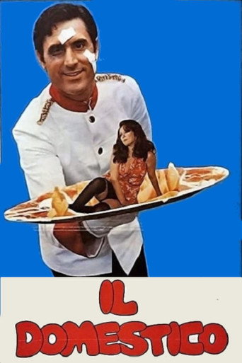 Locandina: Il domestico