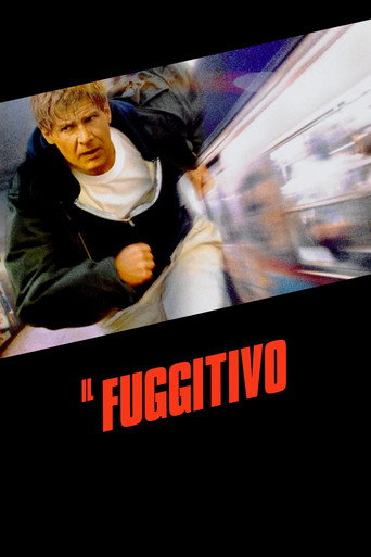 Locandina: Il fuggitivo