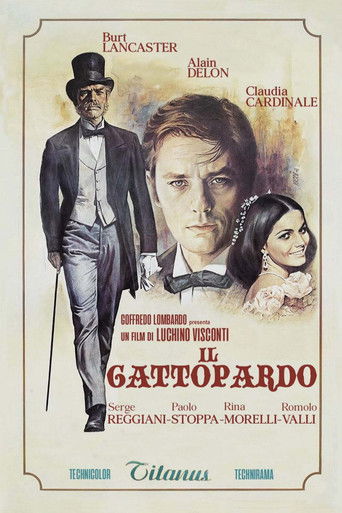 Locandina: Il gattopardo