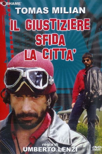 Locandina: Il giustiziere sfida la città