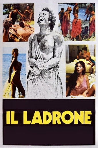 Locandina: Il ladrone