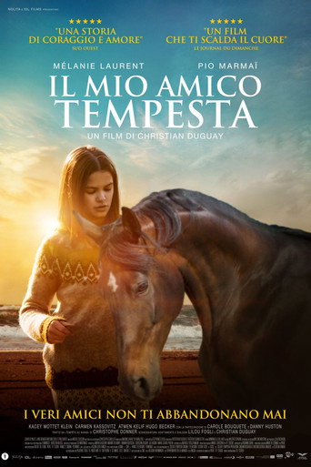 Locandina: Il mio amico Tempesta