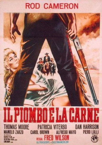 Locandina: Il piombo e la carne