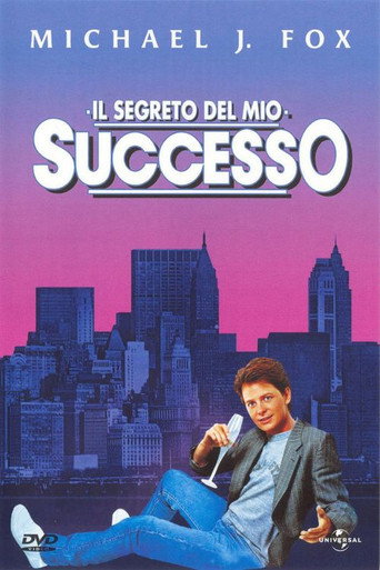 Locandina: Il segreto del mio successo