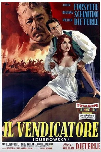 Locandina: Il vendicatore