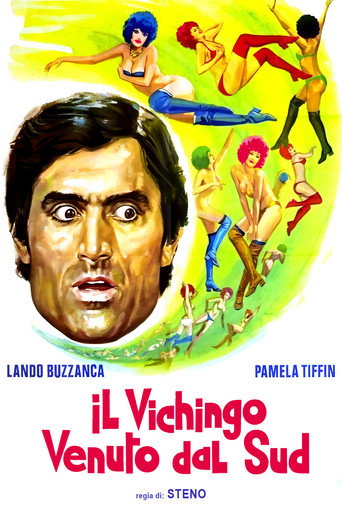 Locandina: Il vichingo venuto dal sud