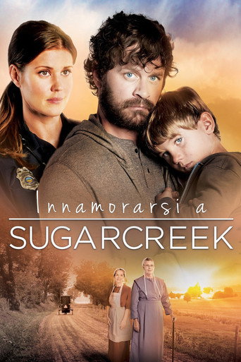 Locandina: Innamorarsi a Sugarcreek