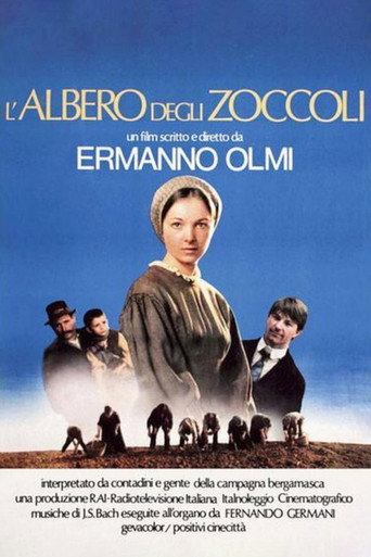 Locandina: L'albero degli zoccoli