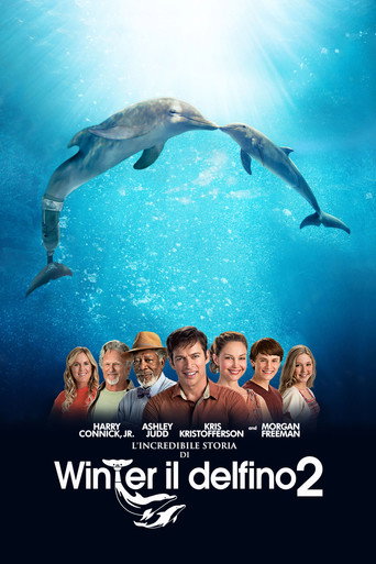 Locandina: L'incredibile storia di Winter il delfino 2
