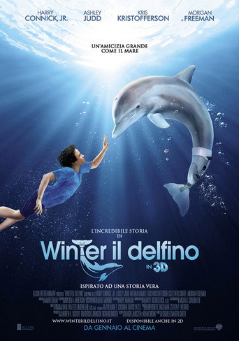 Locandina: L'incredibile storia di Winter il delfino