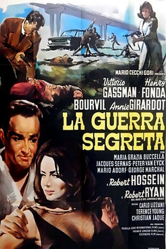 Locandina: La guerra segreta
