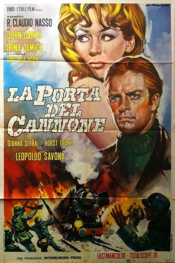 Locandina: La porta del cannone