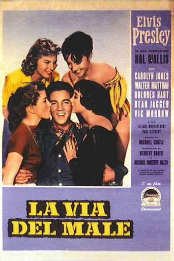 Locandina: La via del male