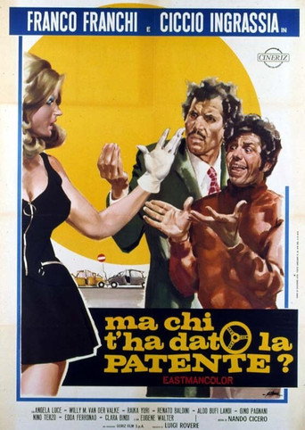 Locandina: Ma chi t'ha dato la patente?