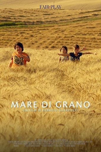 Locandina: Mare di grano