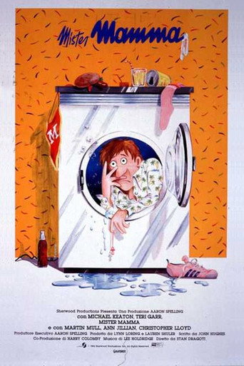 Locandina: Mister mamma