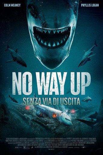 Locandina: No way up - Senza via di uscita