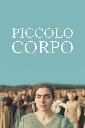 Locandina: Piccolo corpo
