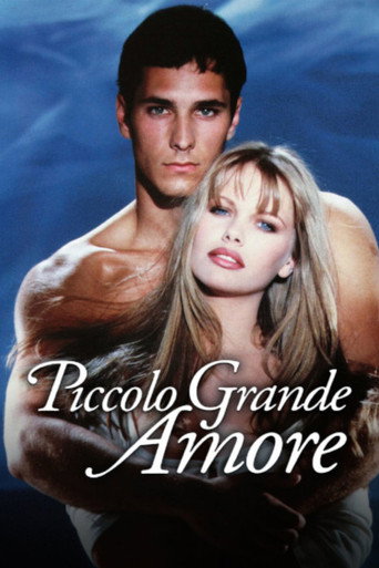 Locandina: Piccolo grande amore