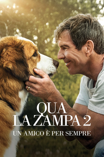 Locandina: Qua la zampa 2 - Un amico è per sempre