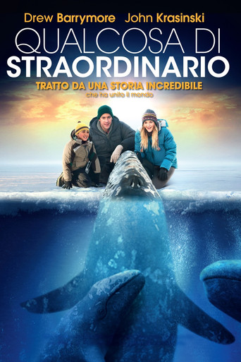 Locandina: Qualcosa di straordinario