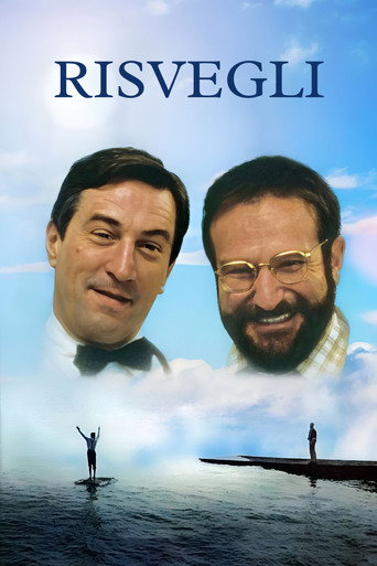 Locandina: Risvegli