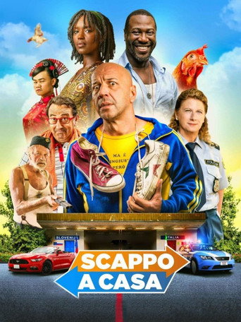 Locandina: Scappo a casa