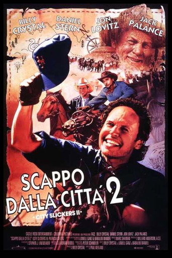 Locandina: Scappo dalla città 2