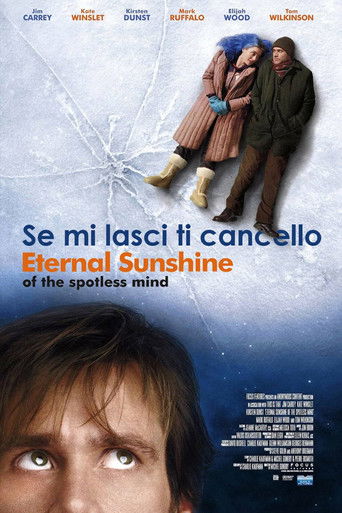 Locandina: Se mi lasci ti cancello